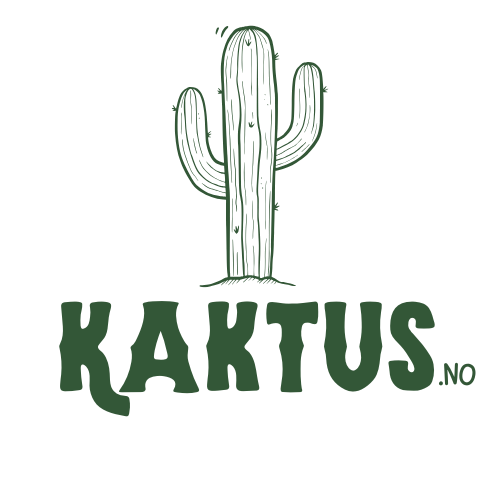 Kaktus